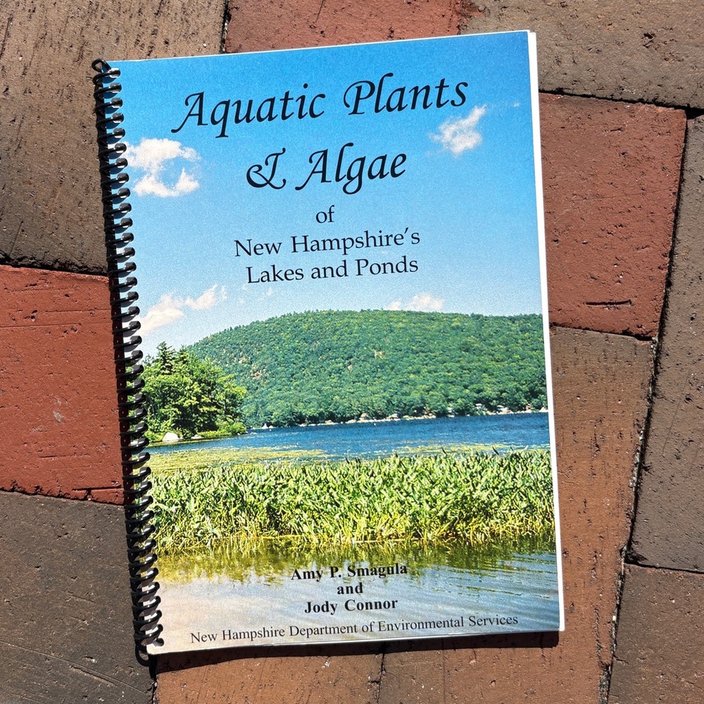 NH Aquatic Plants and Algae of New Hampshire's Lakes & Ponds NHDES Arrowhead